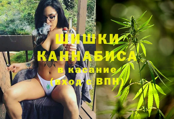гашик Строитель