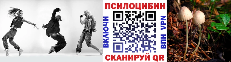 купить закладку  shop клад  Псилоцибиновые грибы MAGIC MUSHROOMS  Короча 